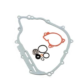 REPLACEMENTKITS.COM Brand Water Pump Repair Kit Fits Yamaha Rhino 700, Grizzly 550 700 & Viking EPS VI