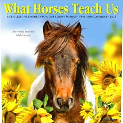 Willow Creek Press What Horses Teach Us Monthly 2025 Wall Calendar (12