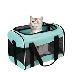 Top tasta Cat Carrying Case Pet Dog Carrier Soft-Sided Cat Bag Airline Approved, Pet Travel Carrier Up to 15 Lbs, Collapsible Cat Carrier Dog Carrier for Medium Cats Small Cats Dogs(17x11x11 Green)