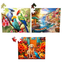 WSCXSC 3 Pack 48 Piece Jigsaw Puzzle for Seniors Dementia Puzzles for Elderly Large Piece Puzzle for Seniors Dog Bird Dementia Alzheimer's Products Activities for Seniors Nursing Home Gift 15.7 * 11.8IN