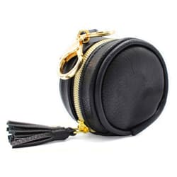 Itzy Ritzy Pacifier Holder Case with Clip - Pacifier Case Includes Clasp to Easily Attach to a Diaper Bag or Purse, Measures 2.5