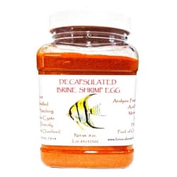 Brine Shrimp Direct DECAPSULATED BRINE Shrimp Eggs (Non-Hatching) 8 Ounce Jar