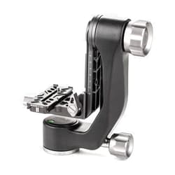 Benro Mini Travel Size Gimbal Head for Mirrorless Cameras, Carbon Fiber with PL100N Plate (GH5CMINI)