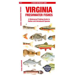 Waterford Press Waterford Press,Jill Kavanagh Waterford Press,Leung Raymond Leung Raymond Virginia Freshwater Fishes: A Folding Guide to Native and Introduced Species (Nature Observation North America)