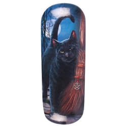 Enchanted Jewelry Lisa Parker Cat Brush With Magik Eyeglass Case/Trinket Box