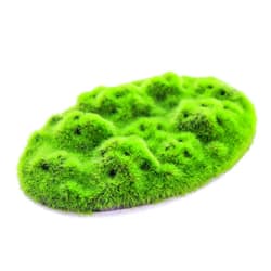Penn-Plax Aqua-Flora Aquarium Living Resin Decoration with Embedded Glosso Plant Seeds – Moss Patch – Safe and Healthy for Freshwater Fish