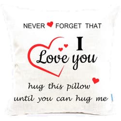AIIQGEEK Two Sided Printing Lover Pillow Cover Couple Sweet I Love You Hug This Pillow Until You Can Hug Me,Valentine's Day/Birthday Gifts for Girlfriend,Cotton Linen Square Decorative Pillowcase 18