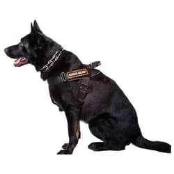 DINGO GEAR WWW.DINGOGEAR.COM 1977 DINGO GEAR Multifunctional Harness for Dog in Work, Guard Dog Training, K9 and Ipo, Cobra System Handmade Black S03195, M