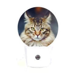Axayaz Cat LED Night Light Cute Animal Kitten Cats Furry Face with Grey Feather Black Yellow Eyes Dusk to Dawn Round Lamp Auto Sensor for Bathroom Hallway Living Room