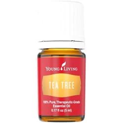 Young Living Tea Tree (Melaleuca Alternifolia) Essential 5ml Oil by Young Living Essential Oils