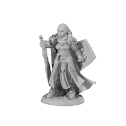 Wondertrail Jade Twinsuns Female Paladin Miniature 25mm Heroic Scale Figure Dark Heaven Legends