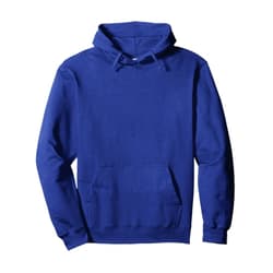 BizzyflyUSA Evolution of Disc Golf Retro Vintage Park Player Pullover Hoodie
