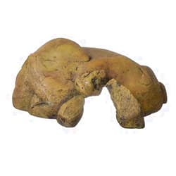 Exo Terra Reptile Den Extra Large