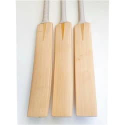 ADVIK Enterprises Plain Grade 1 English Willow Cricket Bats | Full Profile NO CONCAVING | Made in India