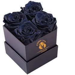 OTAOATO Preserved Roses in a Box - Fresh Flowers - Forever Rose - Birthday Gifts for Women - Preserved Roses, Gifts for Mom/Girlfriend/Wife/Grandma