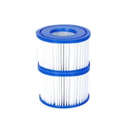 Coleman Bestway SaluSpa 90352E Swimming Pool Filter Pump Type VI Replacement Cartridge, (Pack of 2)