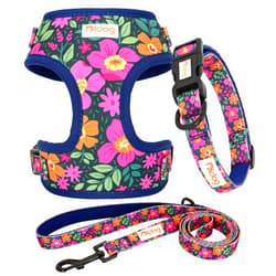 Didog No Pull Dog Harness Collar and Leash Set, Cute Pattern Puppy Dog Harness with Adjustable Collars and Leash, Soft Padded Air Mesh Vest for Small Dogs Walking Training(Flower, S)
