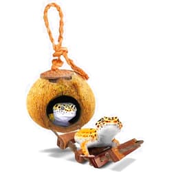 SunGrow Leopard Gecko Coconut Husk Hut with Ladder, with Shell Opening, Cave Habitat with Hanging Loop, 1 Pc per Pack