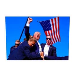 TUOCYERD Donald Trump 2024 Poster Trump Rally Shooter Poster Assassination Attempt Fight Photo Stretched Canvas Wall Art 12x8 inches (Unframed)