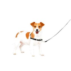 PetSafe Easy Walk Black No Pull Dog Harness, Small