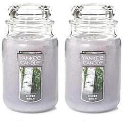 Yankee Candle Silver Birch Scented, Classic Large Jar (Pack of 2) Aromatherapy Candle, 110+ Hours Burn Time, Apothecary Jar Fall Candle