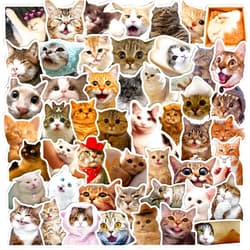Generic 100PCS Funny Cat Stickers for Water Bottles – Waterproof Kawaii Vinyl Cat Meme Stickers for Laptop, Phone, iPad, Scrapbook, Guitar, Luggage, Skateboard