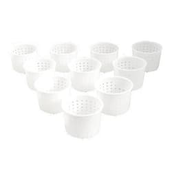 PetriStor 10pcs Small Cheese Mold for Cheese Making 1/3 qt - Soft Cheese Molds - Homemade Cheese Making Supplies - Cream Cheese Form Mold - Moldes Para Queso Fresco Casero - Feta Cheese Making