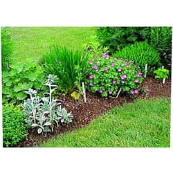 Wendy's Herbs and Botanicals Orris Root Powder 16oz (1 Pound) (Natural)