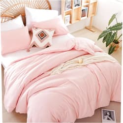 weigelia Queen Size Comforter Set Pink Comforter Modern Bedding Comforter Set for All Season Soft Lightweight Microfiber Girls Women Comforter Set (1 Blush Comforter, 2 Pillowcases)