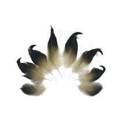 Moonlight Feather | USA Seller Moonlight Feather | 10 Pieces - Natural Mallard Drake Black Curly Tail Feathers Craft Fly Tying Supplier