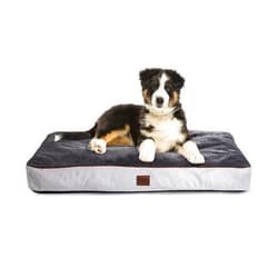 Figopage Small Dog Mat for Crate, Waterproof Small Dog Bed with Washable and Removable Covers, Deluxe Dog Pillows for Small Dogs Up to 30 Lbs