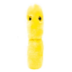 GIANT MICROBES GIANTmicrobes Acidophilus Plush – Learn About Probiotics and The Gut Microbiome with This Educational Gift for Doctors, Students, Biologists, Educators and Anyone with a Healthy Sense of Humor