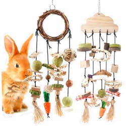 Bissap Bunny Chew Toy, 2 Packs Rabbits Cage Hanging Chew Toys and Treats Rattan Ring Wooden with Snacks for Chinchillas Guinea Pigs Hamsters Rats and Other Small Pets Teeth Grinding