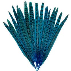 LWINGFLYER 20pcs Turquoise Blue Pheasant Feathers Pheasant Tails 10-12