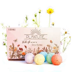 Plantutie Wildflower Seed Bomb Gift Box – 6 Colorful Hand Rolled Seed Balls for Easy Gardening – Pollinator-Friendly, Made in The USA by Small Business – for Gardeners & Flower Lovers