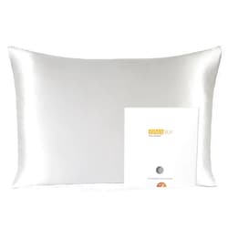 ZIMASILK 100% Pure Mulberry Silk Pillowcase for Hair and Skin Health,Soft and Smooth,Both Sides Premium Grade 6A Silk,600 Thread Count,with Hidden Zipper,1pc(Standard 20''x26'',Light Grey)