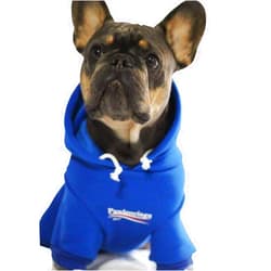 ChoChoCho Dog Hoodie Pet Clothing, Cats Hoodies, Stylish Streetwear Blue Dog Sweatshirt Tracksuits, Dog Outfit for Dog Cat Puppy Small Medium (L)