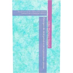 Odile Martinez Douzet Principes de droit pénal et de la procédure pénale: Manuel à l’usage des concours de la fonction publique et de la pratique des tribunaux (French Edition)