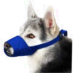 Four Flags Over Aspen Four Flags Quick Muzzle, Large, Blue