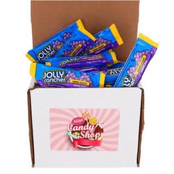 SECRET CANDY SHOP Jolly Rancher Flavor Hard Candy Bulk in Box (Individually Wrapped) (Grape Sticks, 1lb)