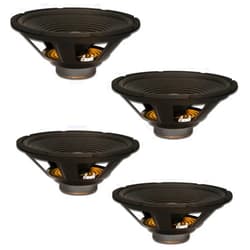 Goldwood Sound, Inc. Stage Subwoofer, OEM 12