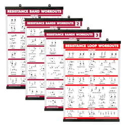 Palace Learning 4 Pack - Resistance Bands Workout Exercise Posters Volume 1, 2 & 3 + Resistance Loops Fitness Chart (LAMINATED WITH PLASTIC FRAME, 18