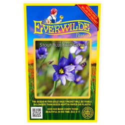 Everwilde Farms - 150 Stout Blue-Eyed Grass Native Wildflower Seeds - Gold Vault Seed Packet