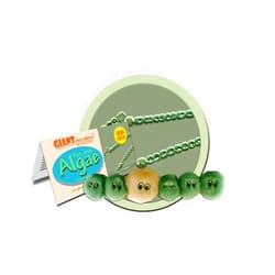 GIANT MICROBES GIANTmicrobes Algae Plush – Learn About The Water Environment, Ecology and Nature with This Cuddly Plush, Unique Gift for Family, Friends, Water Lovers, Botanists, Scientists, Educators and Students