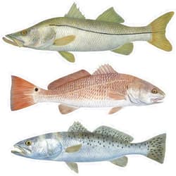 Skiff Life Qty. 3 Trout, Snook, Redfish Fishing Decals Mini Fishing Stickers UV Protected Fish Stickers Dishwasher Safe Stickers for Cups Tumbers Tackle Boxes by Skiff Life