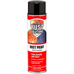 AGS RUST SOLUTIONS Rust Spray Paint, 14oz, Durable Matte Black Finish, Safe for All Surfaces, Eradicate Rust and Ensure Long-Lasting Protection Against Weather and Wear