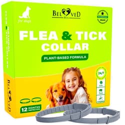 Beloved Pets Natural Flea & Tick Collar for Dogs - 6 Months Control of Best Prevention & Safe Treatment - Anti Fleas and Ticks Essential Oil Repellent (1 Pack, 2 Count)
