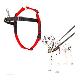 The Company of Animals HALTI Front Control Harness - To Stop Your Dog Pulling on the Leash. Adjustable, Lightweight and Easy to Use. Anti-Pull Dog Training Harness for Medium Dogs (Size M)