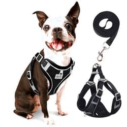 RENNAIO Dog Harness No Pull, Adjustable Puppy Harness with 2 Leash Clips, Ultra Breathable Padded Dog Vest Harness, Reflective Dog Harness and Leash Set for Small and Medium Dogs (Black, M)