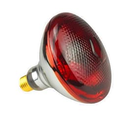 BONGBADA 2 Pack Heat Lamp Infrared Bulbs PAR38 Glass Lamp Bulb for Food Service, Brooder Bulb, Chicks, Pet, Bathroom, Light Therapy Use E26 Base, Flood Light Heat Lamp Bulb. (250W, Red)